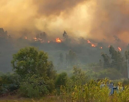 Incendi in Sardegna. Il racconto di un’alessandrina a Posada: “Una nube ha oscurato il cielo e poi, in un’ora, è bruciato tutto”