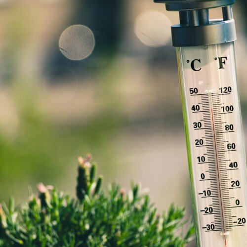 Caldo: giovedì punte di 42 gradi in provincia di Alessandria, la più calda del Piemonte