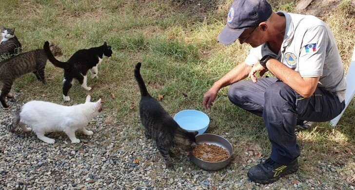 Emergenza idrica nell’Acquese: Protezione Civile fornisce acqua alla colonia felina di Acqui