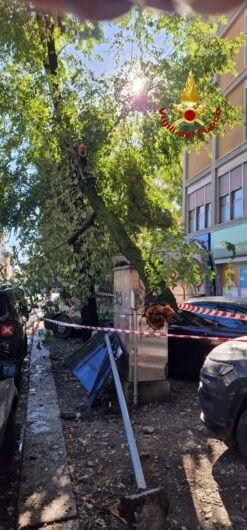 Le foto dei danni per il maltempo a Milano