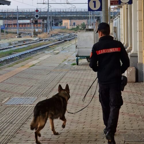Controlli antidroga dei Carabinieri nelle scuole e in stazione a Casale