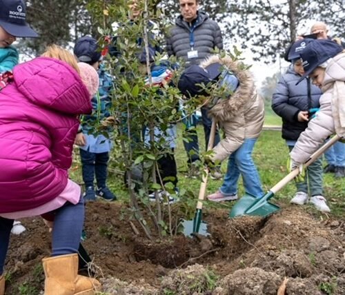 Giornata dell’albero: Roquette e i suoi dipendenti donano 18 nuove piante