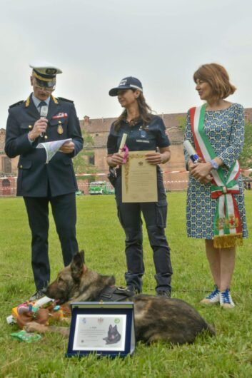 Addio a Fox, il cane antidroga della Polizia Locale di Alessandria: “Sei stato un agente davvero speciale”