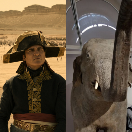 “Napoleon” al cinema: i soggiorni pavesi, gli incontri e quella storia dell’elefantessa donata