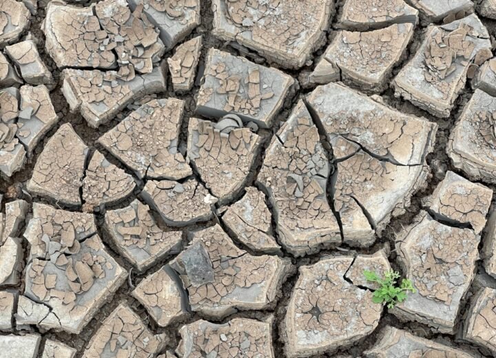 Perché dopo lunghi periodi di siccità le piogge rischiano di essere un problema