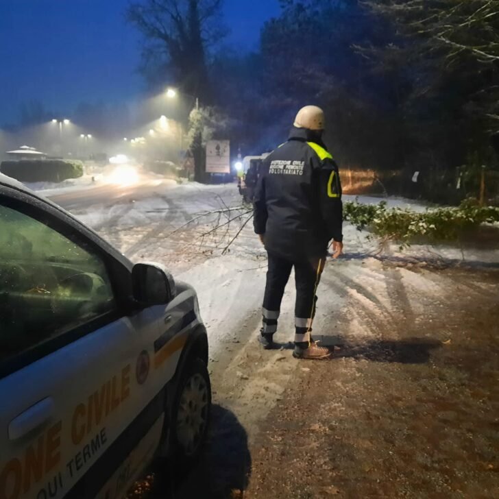 Neve ad Acqui: caduta una pianta in viale Einaudi. Sul posto la Protezione Civile