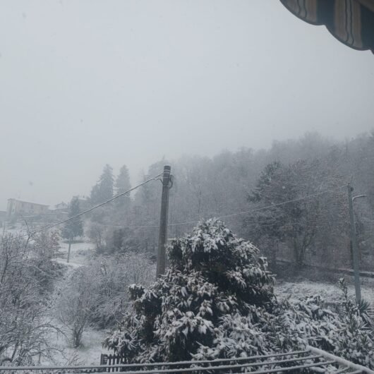 Le immagini della neve in provincia di Alessandria