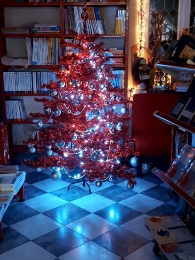 Le FOTO degli alberi e degli addobbi che accendono lo spirito natalizio nelle case dei lettori di RadioGold