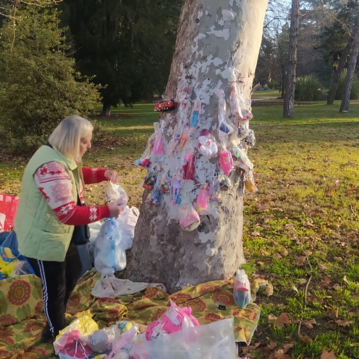Grazie ad Angela ai giardini della stazione l’albero dei giochi per i bimbi di famiglie in difficoltà