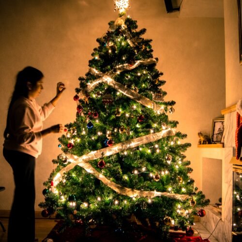 Milano accende il Natale: record di 22 alberi e tanti mercatini