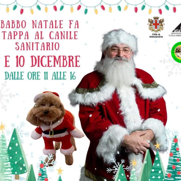 Babbo Natale passa anche dal canile di Alessandria: venerdì e domenica vi aspettano code scodinzolanti