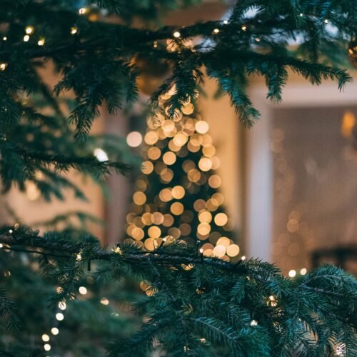 Domenica 17 dicembre a Rivarone un pomeriggio di festa con tanti eventi natalizi per adulti e bambini