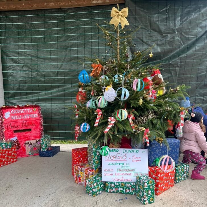 A Valmadonna i bimbi addobbano l’Albero di Natale al campo sportivo di nuovo aperto