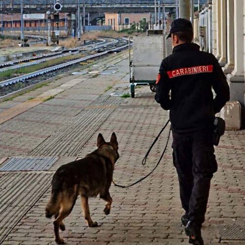 Controlli dei Carabinieri in stazione a Tortona. Arrestato spacciatore