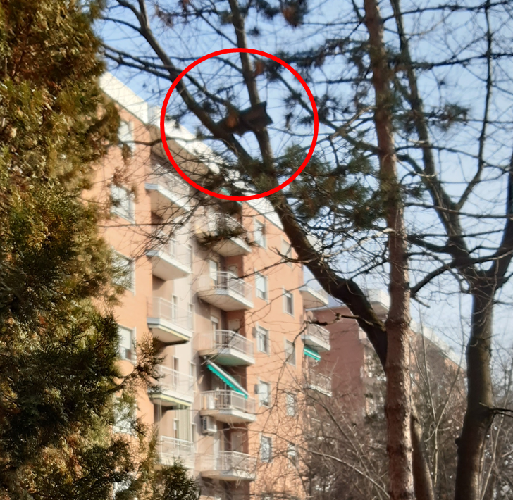 Sull’albero di un giardino pubblico del quartiere Europa un pezzo di tetto in bilico da oltre 3 anni