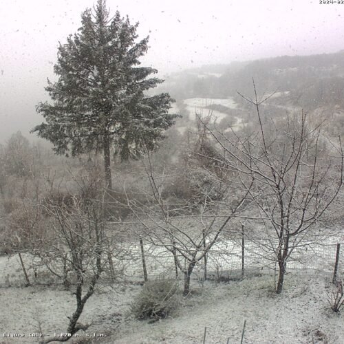 Torna la neve in provincia di Alessandria: fiocchi sull’Appennino