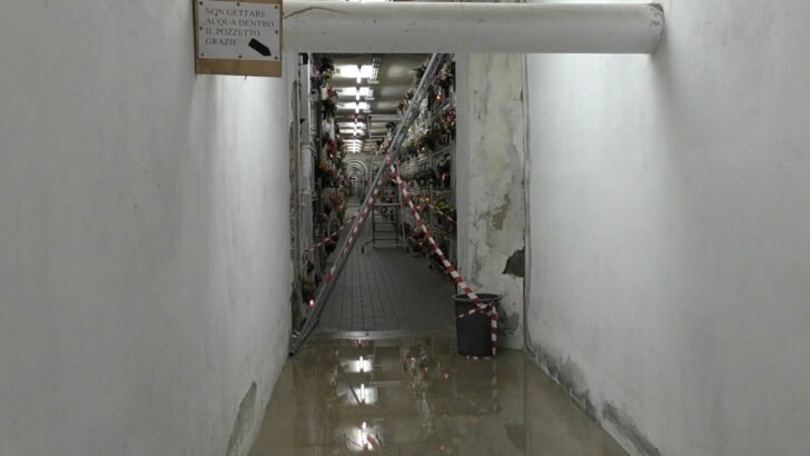 Perdita d’acqua e crollo di parte del soffitto al cimitero di Alessandria: “Interventi entro l’anno”