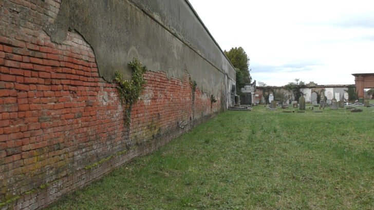 Perdita d’acqua e crollo di parte del soffitto al cimitero di Alessandria: “Interventi entro l’anno”
