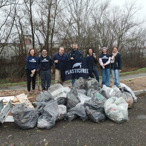 Ad Alessandria i volontari di Plastic Free raccolgono i rifiuti al quartiere Europa