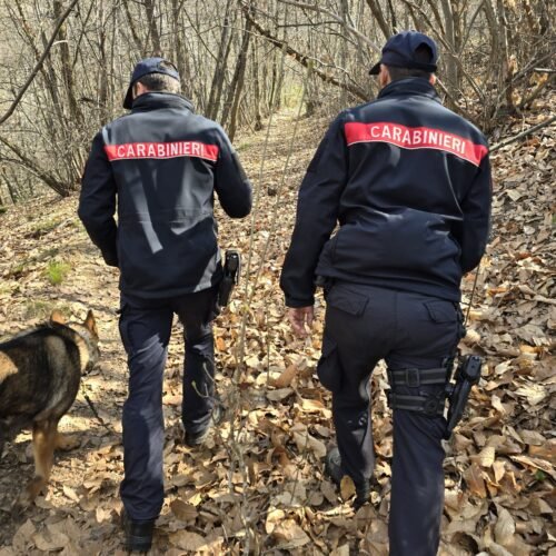 Con i Carabinieri nel bosco della droga a Ponzone