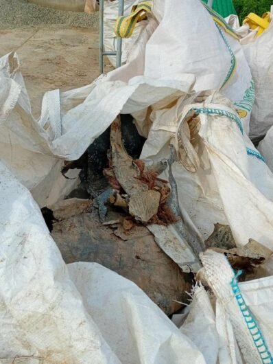 Cimitero di Alessandria, la segnalazione: “Materiale non smaltito da mesi genera cattivi odori”