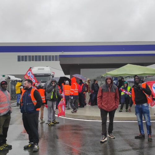 Scontro Adl Cobas-Vero Group: bloccate le attività