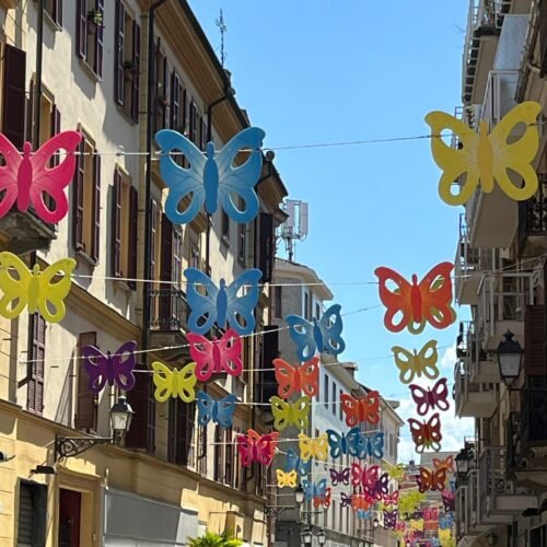 Sabato un arcobaleno di 500 farfalle colorate in centro ad Alessandria