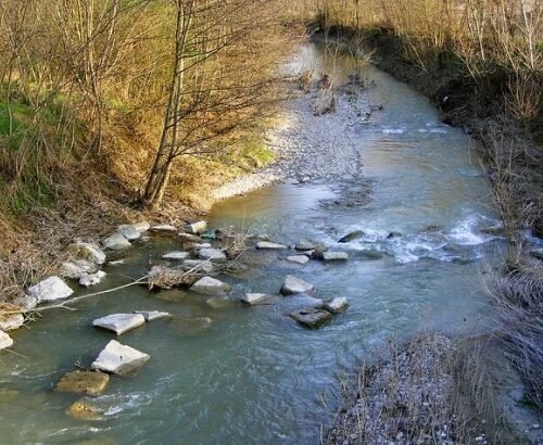 Pulizia dei fiumi: la Regione individua anche 31 interventi nell’Alessandrino