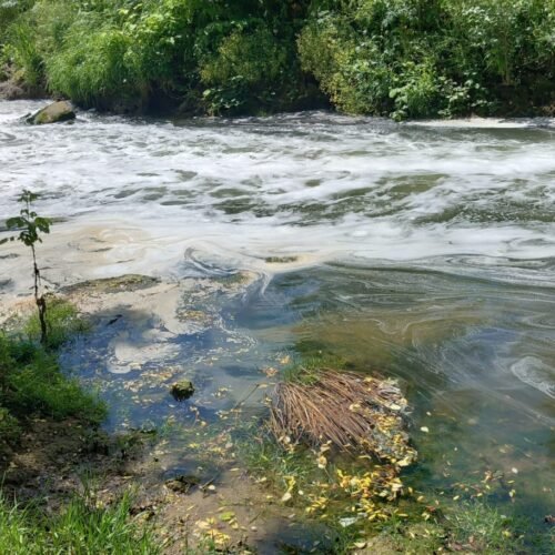 Schiume nel fiume Bormida vicino allo scarico del Polo Chimico, Arpa: “Alcune non conformità sul parametro C6O4”