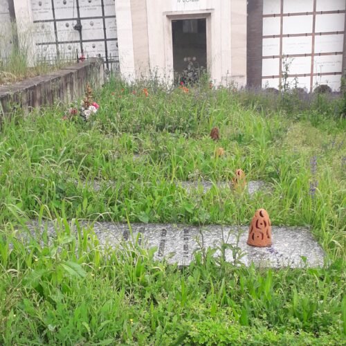 Erbacce nel cimitero di Valmadonna, la replica della società responsabile: “Sfalcio rallentato dal maltempo”