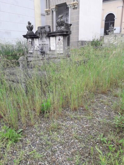 Cimitero di Valmadonna invaso dalle erbacce, una cittadina: “Molte tombe non si vedono più”