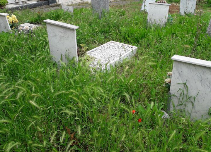 Nei cimiteri di Alessandria nessuno gestisce la pulizia e la cura del verde. Dipendenti: “Non per nostro volere”