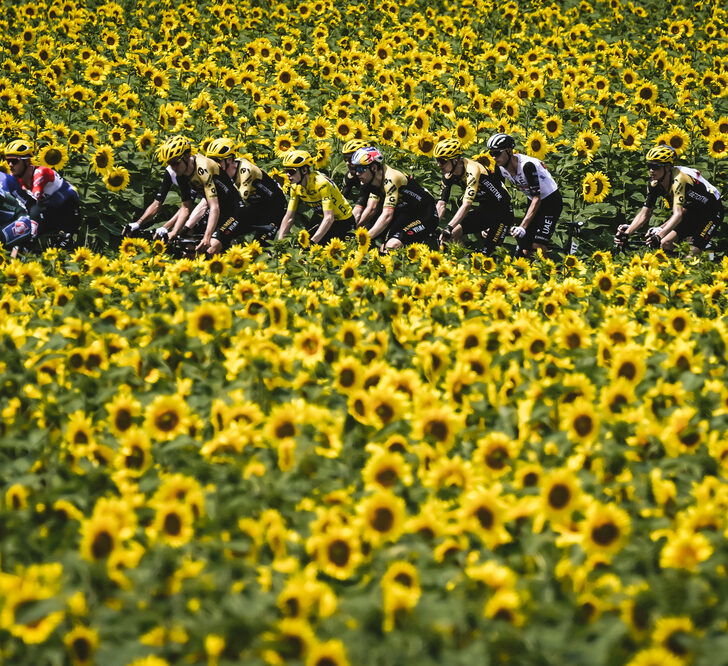 Divieti e chiusure delle vie per il passaggio del Tour de France ad Alessandria