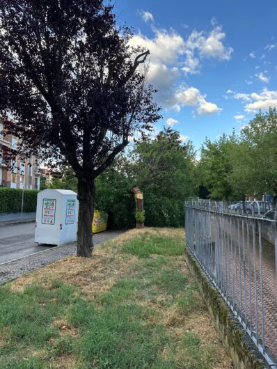 Maltempo in provincia: alberi caduti tra Alessandria, Valenza e il Casalese