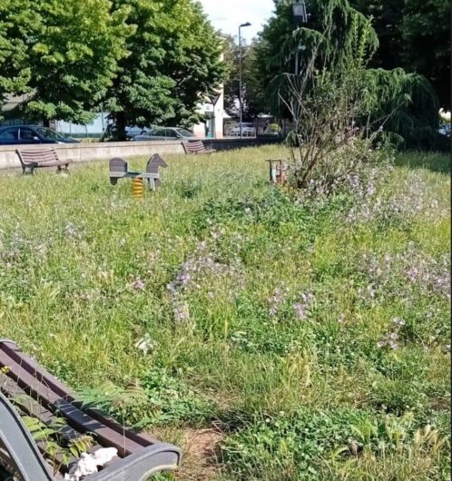 Erba alta e sporcizia. L’amarezza di una cittadina per l’incuria e l’inciviltà nel parco di Spinetta Marengo