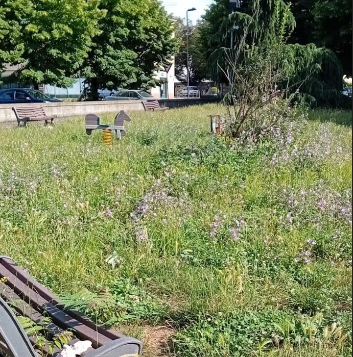 Erba alta e sporcizia. L’amarezza di una cittadina per l’incuria e l’inciviltà nel parco di Spinetta Marengo