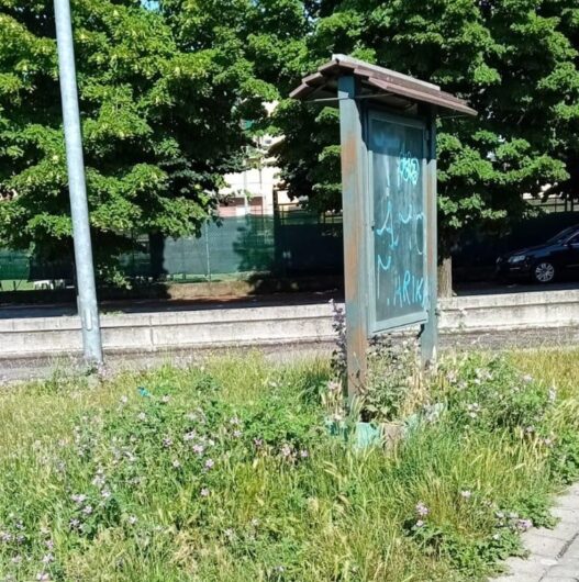 Erba alta e sporcizia. L’amarezza di una cittadina per l’incuria e l’inciviltà nel parco di Spinetta Marengo