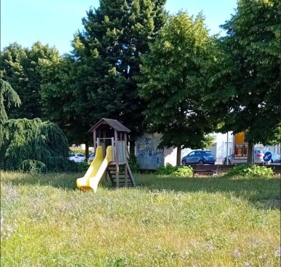 Erba alta e sporcizia. L’amarezza di una cittadina per l’incuria e l’inciviltà nel parco di Spinetta Marengo