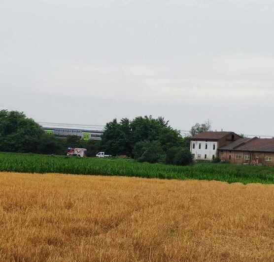 Treno travolge pecora poco prima di Alessandria: passeggeri trasferiti su un altro convoglio