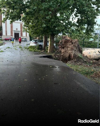 Temporale e forte vento ad Alessandria: alberi sradicati e abbattuti tra San Michele e Valenza