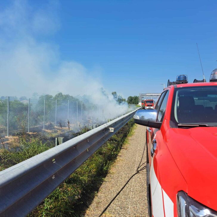 Incendio sterpaglie sulla A26 all’altezza di Casale: fiamme spente dai Vigili del Fuoco