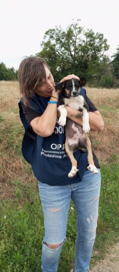 Legato a una catena e costretto a vivere di stenti. Oipa porta in salvo cane e i suoi quattro cuccioli