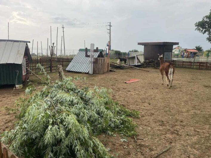 Maltempo: dopo la devastazione la conta dei danni (FOTO E VIDEO)