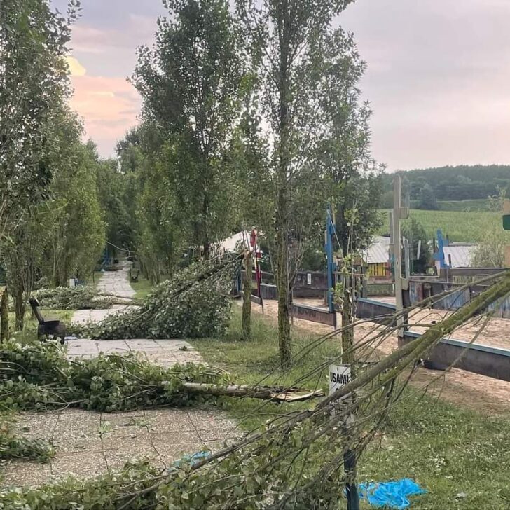 Family Park di Felizzano dopo la tromba d’aria: “Piante rotte e gazebo sradicati ma abbiamo riaperto”