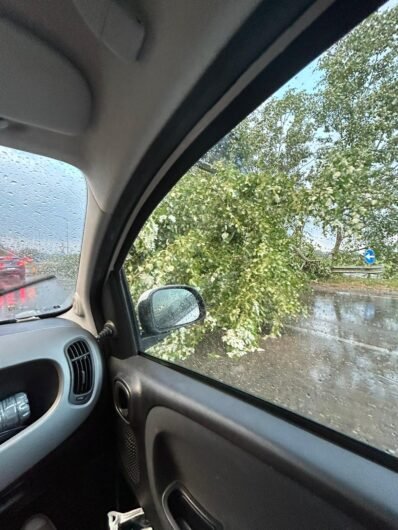 Temporale e forte vento ad Alessandria: alberi sradicati e abbattuti tra San Michele e Valenza