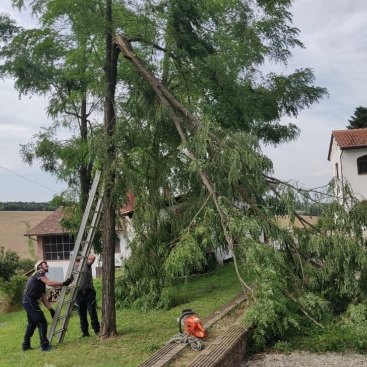 Messi in sicurezza gli alberi pericolanti e abbattuti dal forte vento nella frazione San Zeno di Montecastello