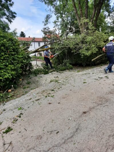 Messi in sicurezza gli alberi pericolanti e abbattuti dal forte vento nella frazione San Zeno di Montecastello
