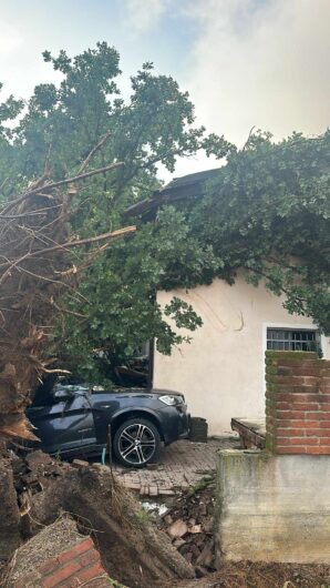 Tromba d’aria abbatte una pianta secolare in zona Osterietta ad Alessandria: danneggiate una casa e l’auto