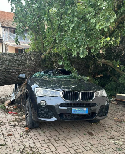 Tromba d’aria abbatte una pianta secolare in zona Osterietta ad Alessandria: danneggiate una casa e l’auto