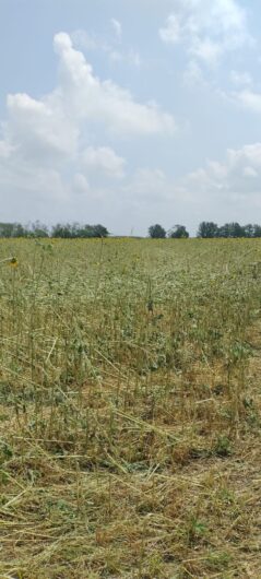 “Annata difficile” per l’agricoltura. Agricoltori Autonomi chiedono riconoscimento dei “costi di produzione”